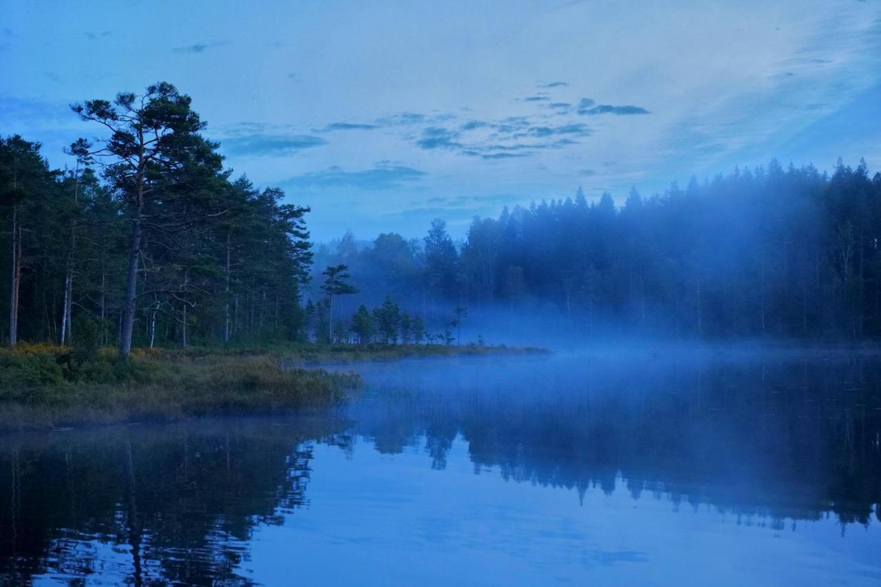 Nordic Refuge B&B Froskog Екстериор снимка